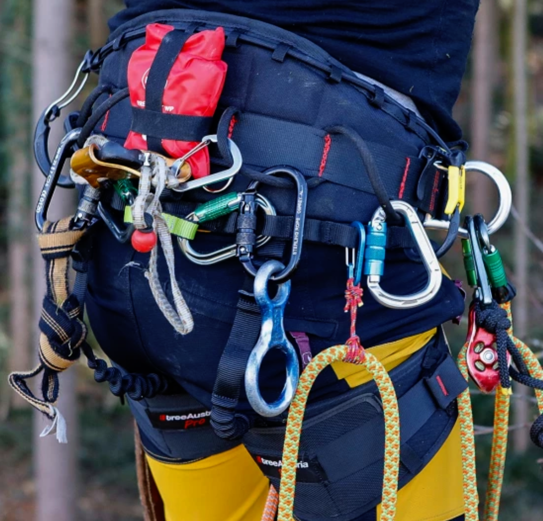 Tree Austria Pro Arborist Harness Drayer | Arborist Supply Tree Austria Pro Arborist Harness Drayer | Arborist Supply
