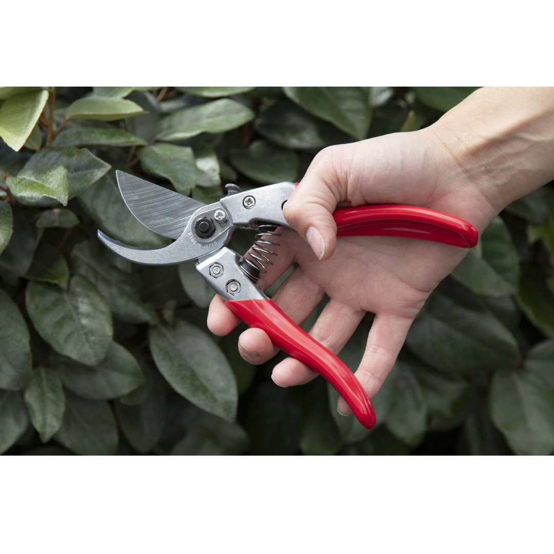 VS-8XZ Pruning Shears ARS | Arborist Supply Co. Inc.