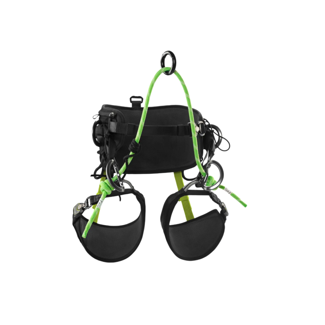 TreeRex 2.0 Harness Edelrid | Arborist Supply Co. Inc.
