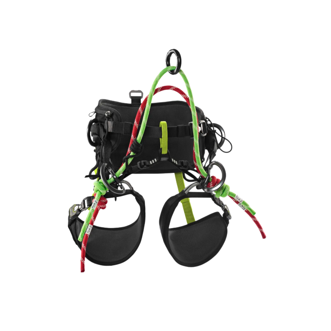 TreeRex 2.0 Harness Edelrid | Arborist Supply Co. Inc.